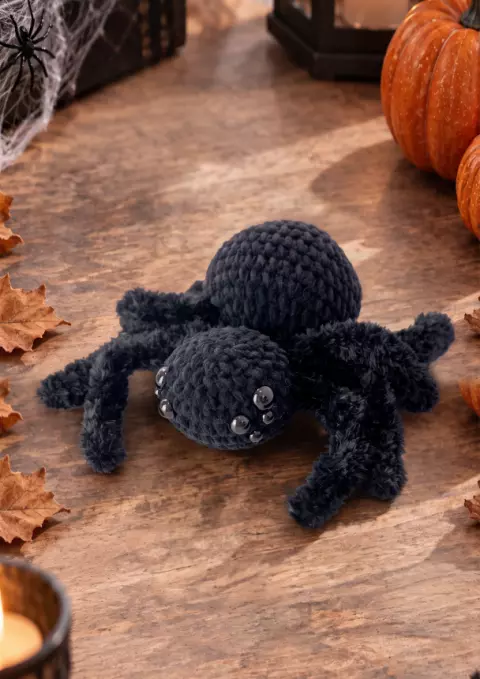 ARANHA OPHÉLIA – HALLOWEEN