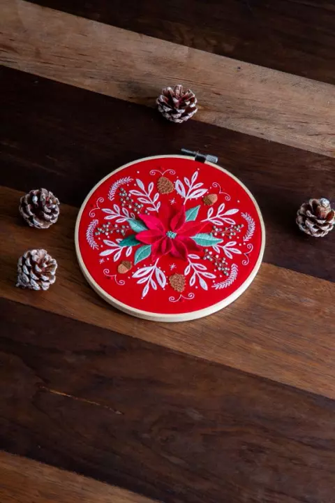 Poinsétia, a flor do Natal