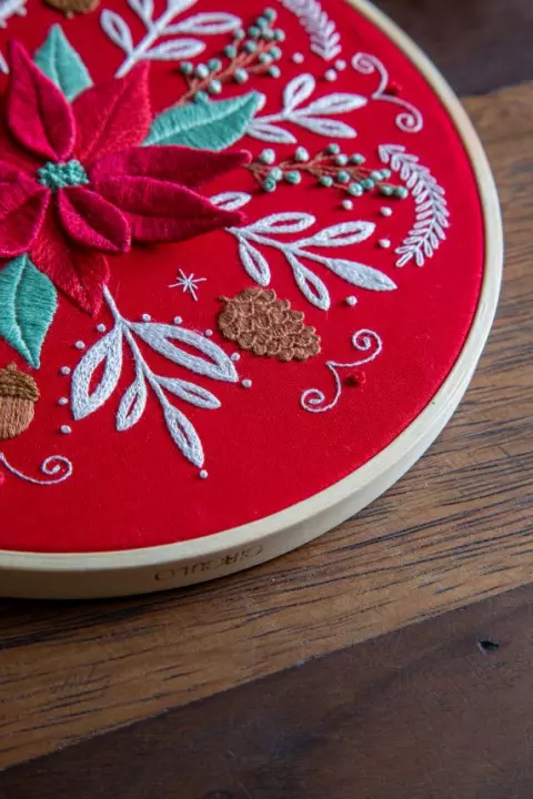 Poinsétia, a flor do Natal