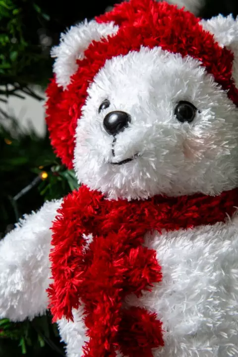 Louis, o urso do Natal