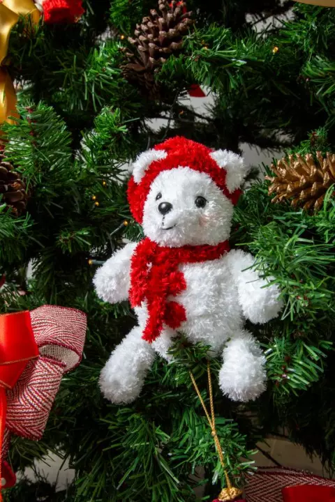 Louis, o urso do Natal