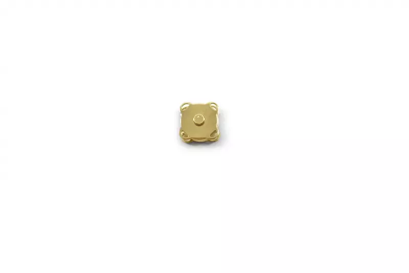Magnetic Snaps Button