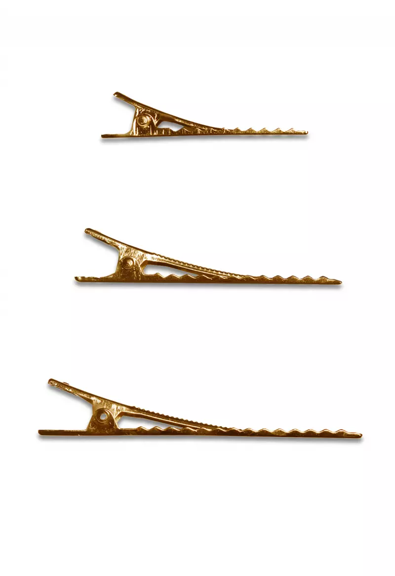 Hair Clip