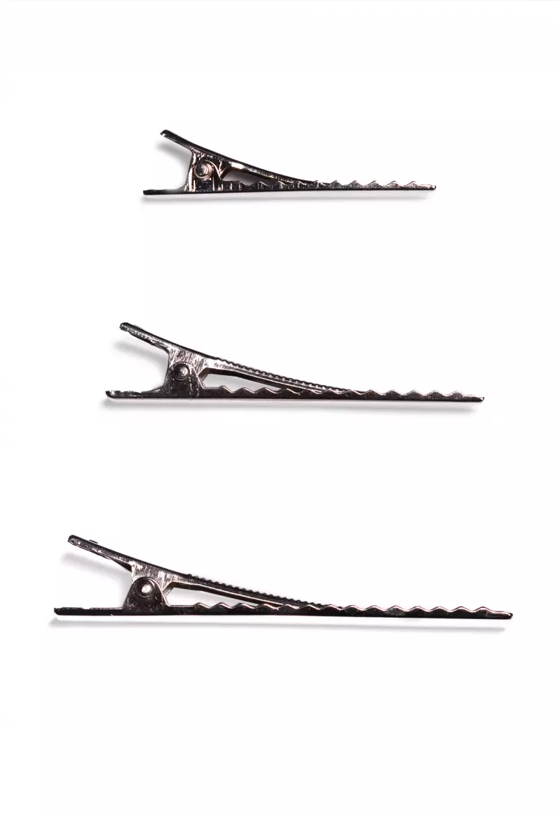 Hair Clip
