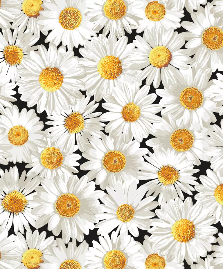 Floral Collection