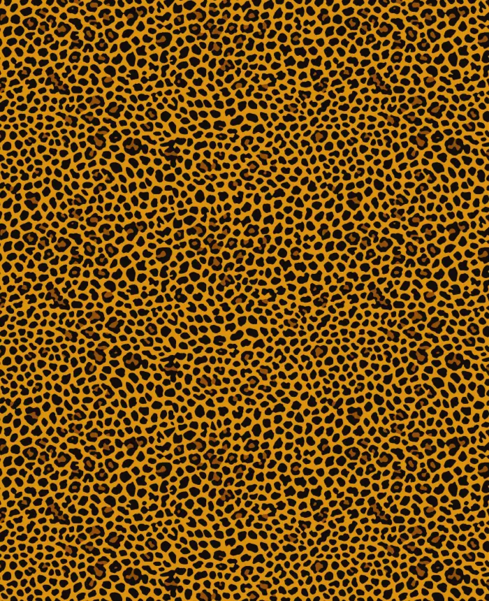 Coleção Animal Print