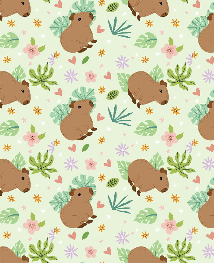 Capybara Collection