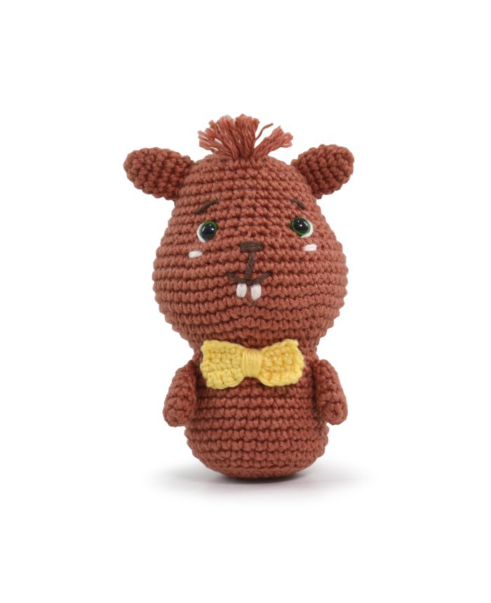 Kit Meu Primeiro Amigurumi Coleção Animais do Bosque