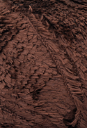COR 7569 BRIGADEIRO