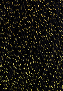 8990 - DOURADO