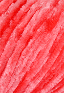 3334 - TULIPA