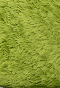 COR 5800 PISTACHE