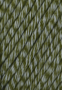 7849