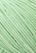 COR 5083 ECO