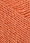 4004