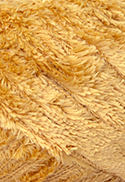 COR 7076 CARAMELITO