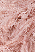 3093