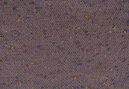 347