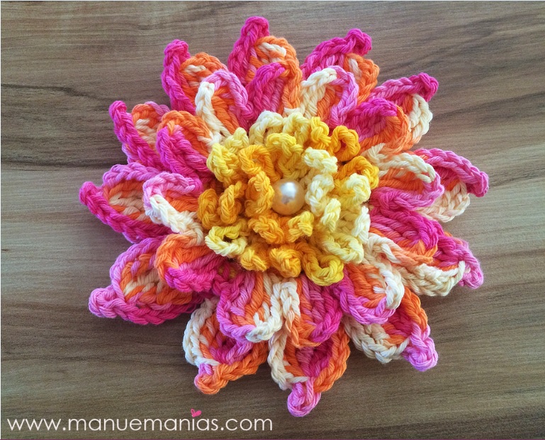 Flor Bromélia