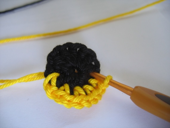 Bolsa de Coruja
