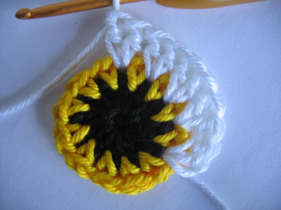 Bolsa de Coruja