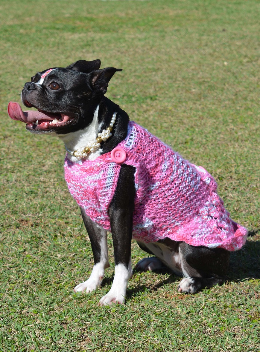 Roupinha Pet Model Rosa Coelhinho