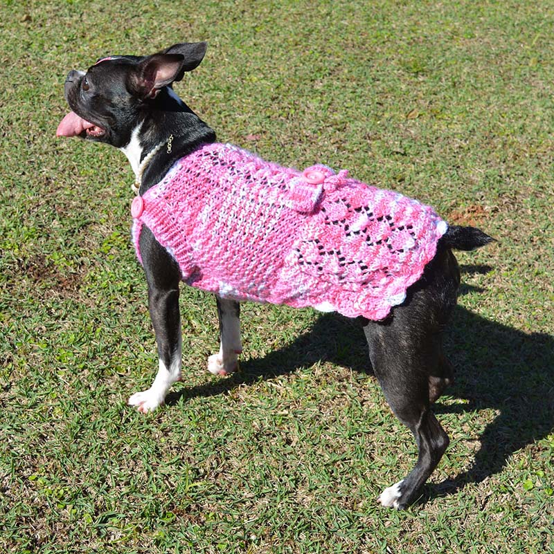 Roupinha Pet Model Rosa Coelhinho
