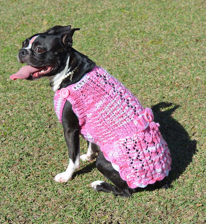 Roupinha Pet Model Rosa Coelhinho