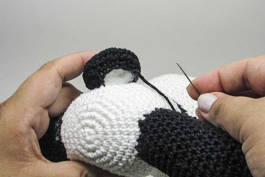 Panda Edu