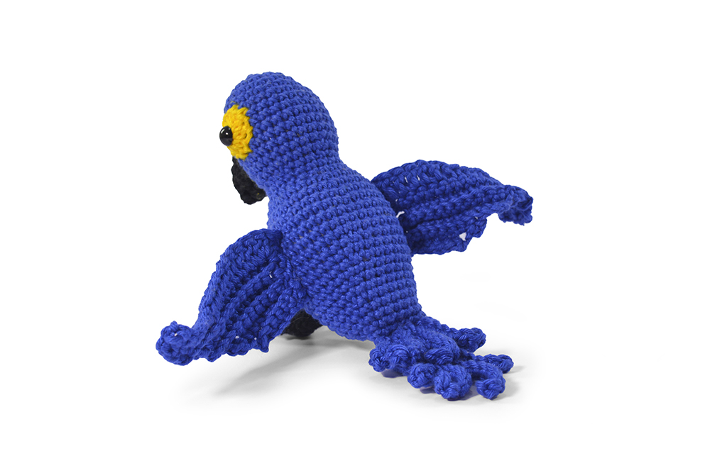 Arara-azul