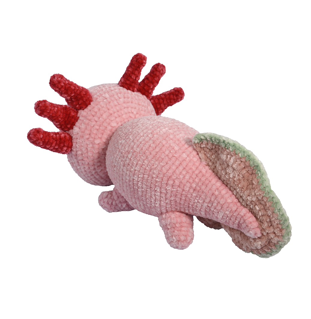 Salamandra