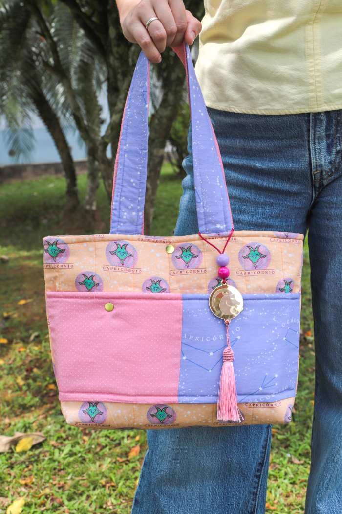 Bolsa signo Capricórnio